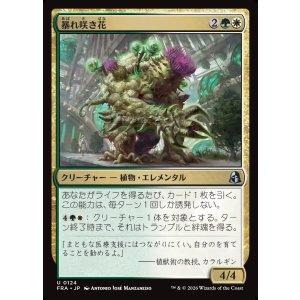 画像: 暴れ咲き花/Bloombrute