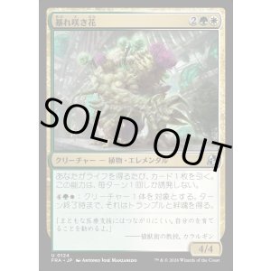 画像: 暴れ咲き花/Bloombrute