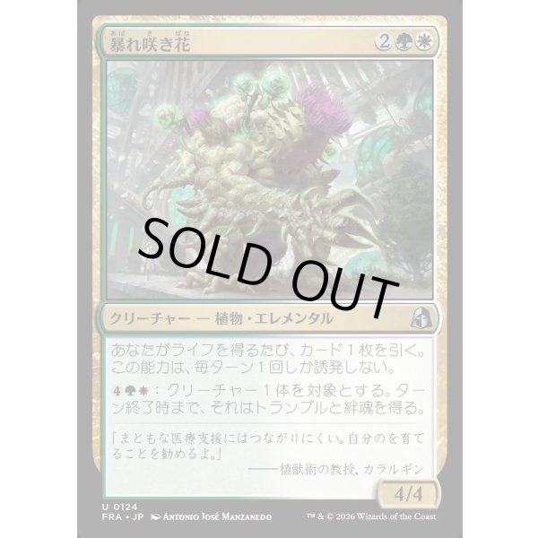 画像1: 暴れ咲き花/Bloombrute (1)