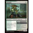 画像1: 救急植療士/Emergency Phytomedic (1)