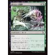 画像1: 狩りという暴挙/Ferocity of the Hunt (1)