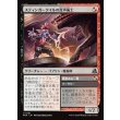 画像1: スティンガークイルの音声術士/Stingerquill Voxmancer (1)