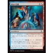 画像1: 対なす幻視/Twinned Vision (1)