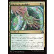 画像1: ヴィゴーブルームの魔除け/Vigorbloom Charm (1)