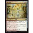 画像1: 戦士の刃/Warrior's Blades (1)