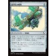 画像1: 医学生の帆凧/Medic's Kitesail (1)