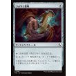 画像1: つぶやく書物/Murmuring Volume (1)