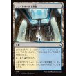 画像1: フェイトホールド別館/Fatehold Annex (1)