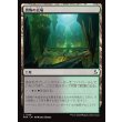 画像1: 畏怖の広場/Formidable Commons (1)