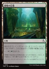 画像: 畏怖の広場/Formidable Commons