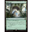 画像1: 乱動する梢/Roiling Canopy (1)