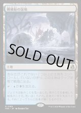 画像: 難破船の湿地/Shipwreck Marsh