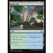 画像1: 変容の広場/Transformative Commons (1)