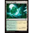 画像1: ヴィゴーブルーム別館/Vigorbloom Annex (1)