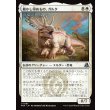 画像1: 動かし得ぬもの、ガルタ/Ghalta the Immovable (1)