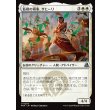 画像1: 監視の領事、サヒーリ/Saheeli, Consul of Oversight (1)