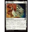 画像1: 導師としての歩み/Way of the Mentor (1)