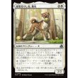 画像1: 寵愛受けし友、義丸/Yoshimaru, Beloved Companion (1)
