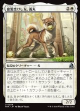画像: 寵愛受けし友、義丸/Yoshimaru, Beloved Companion