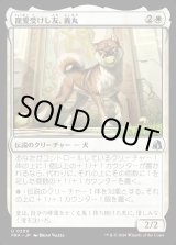 画像: 寵愛受けし友、義丸/Yoshimaru, Beloved Companion