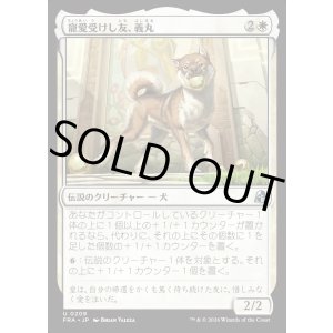 画像: 寵愛受けし友、義丸/Yoshimaru, Beloved Companion