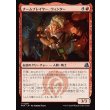 画像1: チームプレイヤー、ウィンター/Winter, Team Player (1)