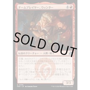 画像: チームプレイヤー、ウィンター/Winter, Team Player