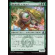 画像1: 道を知る者、フブルスプ/Fblthp, Knows the Way (1)