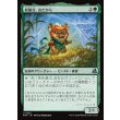 画像1: 結節点、おたから/Loot, the Nexus (1)