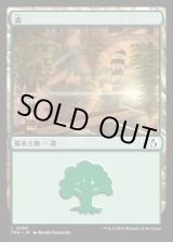 画像: 森/Forest