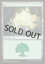 画像: 森/Forest