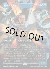 画像: 歴戦の冷術士/Seasoned Cryomancer