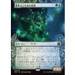 画像1: 芽生えこだまの化身/Avatar of Burgeoning Echoes (1)
