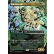 画像1: 日光浴室の歩哨/Solarium Sentry (1)