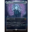 画像1: 模倣宇宙の支点/The Echoverse Fulcrum (1)