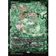 画像1: 庭園化/Gardenize (1)
