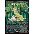 画像1: クウィア・ヴィゴーブルーム/Kwia Vigorbloom (1)