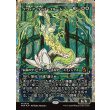 画像1: クウィア・ヴィゴーブルーム/Kwia Vigorbloom (1)
