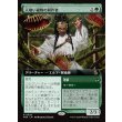 画像1: 人喰い植物の耕作者/Carnivorous Cultivator (1)