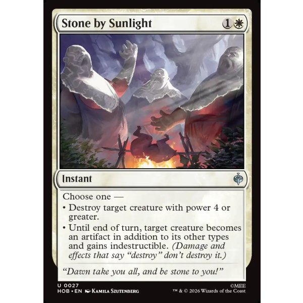 画像2: 陽光による石化/Stone by Sunlight (2)