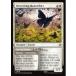 画像2: ビロード羽の蝶/Velvetwing Butterflies (2)