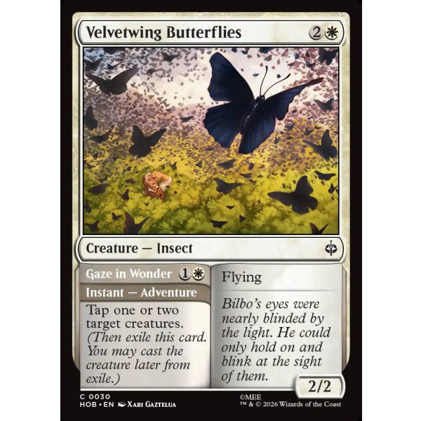 画像2: ビロード羽の蝶/Velvetwing Butterflies (2)
