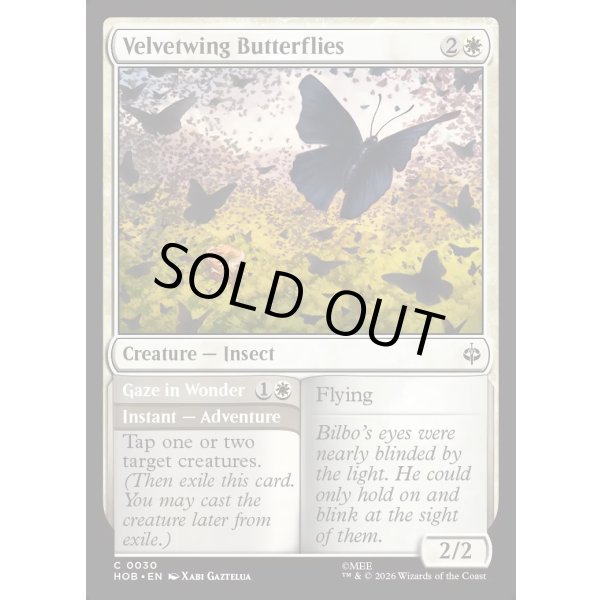 画像2: ビロード羽の蝶/Velvetwing Butterflies (2)