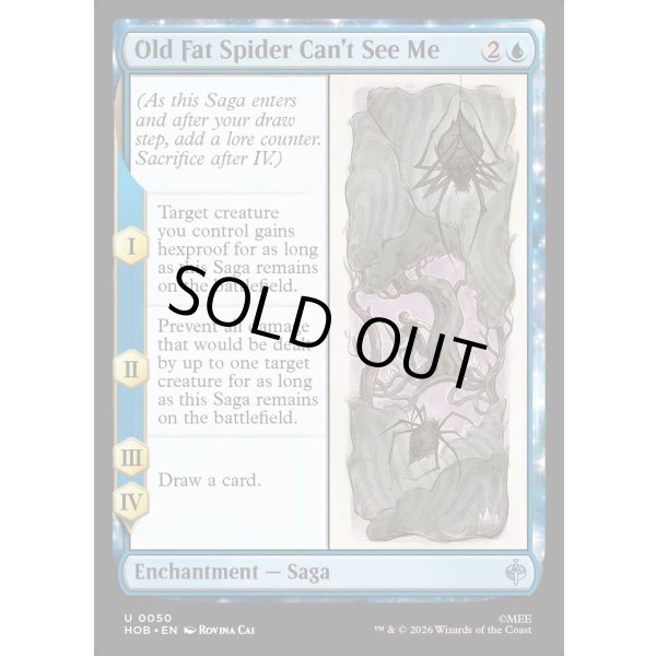 画像2: でぶのクモには、おれは見えない/Old Fat Spider Can't See Me (2)