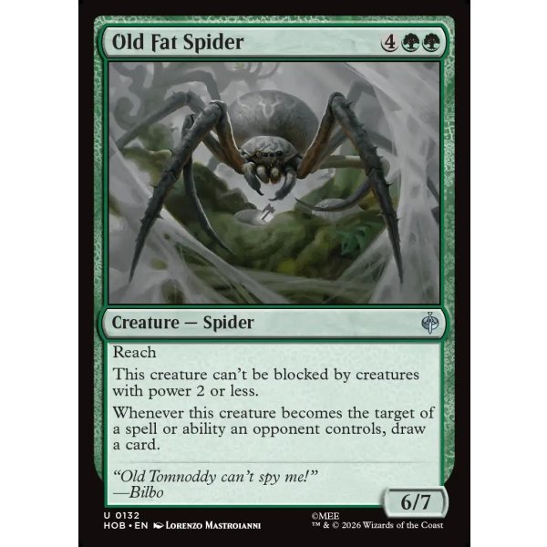 画像2: でぶの年寄りクモ/Old Fat Spider (2)