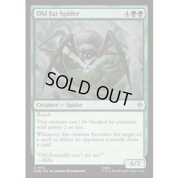 画像2: でぶの年寄りクモ/Old Fat Spider (2)