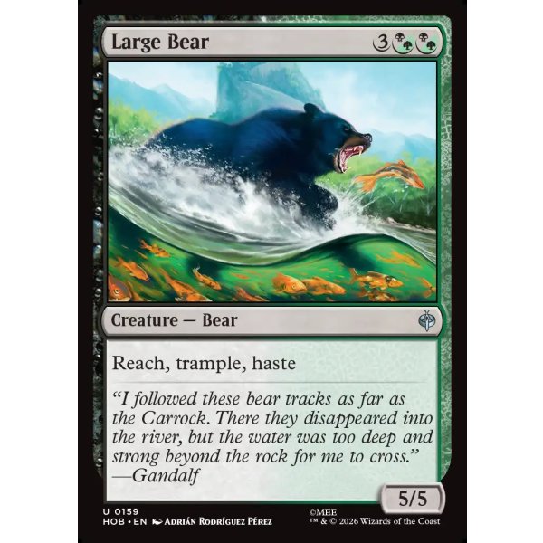 画像2: 大きな熊/Large Bear (2)