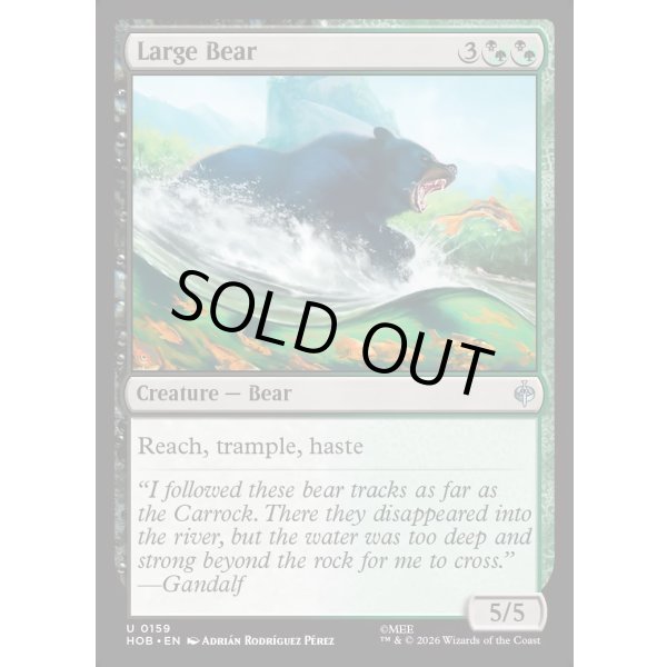 画像2: 大きな熊/Large Bear (2)