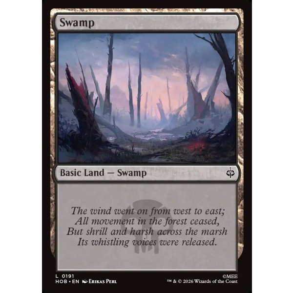画像2: 沼/Swamp (2)