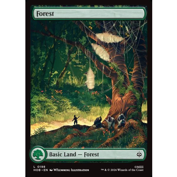 画像2: 森/Forest (2)
